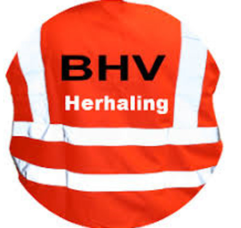 Groenteboer Mediaan vrouw BHV Herhaling NIBHV - BHV Herhaling NIBHV - SafetyFireProducts